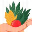 Icona di una mano che raccoglie verdure fresche